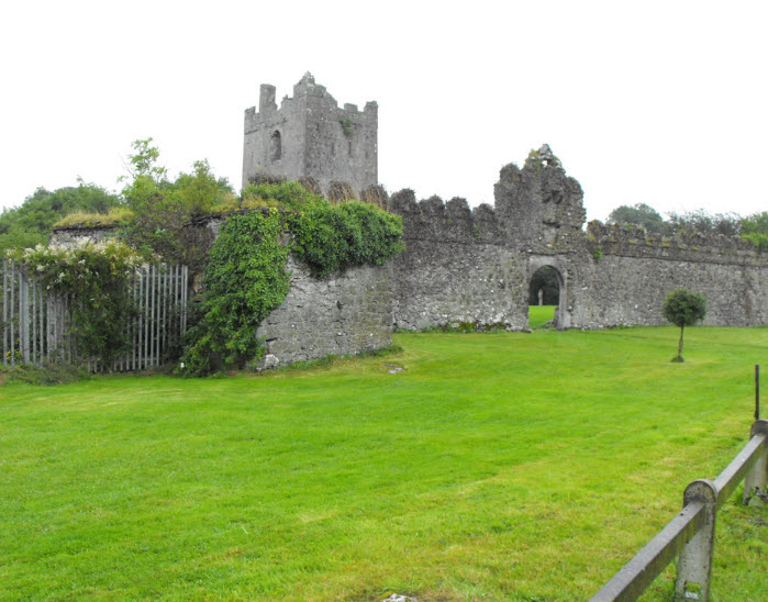 Clonony Castle, Clonony, Ireland, Ireland